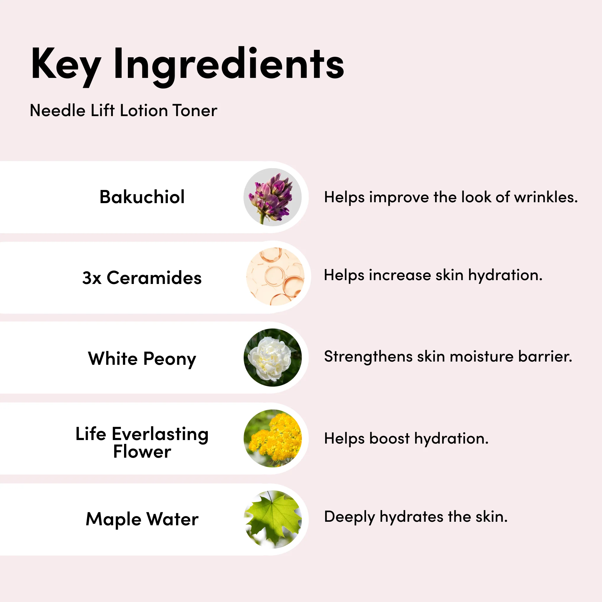Needle Lift Lotion Toner Mini - Image 2